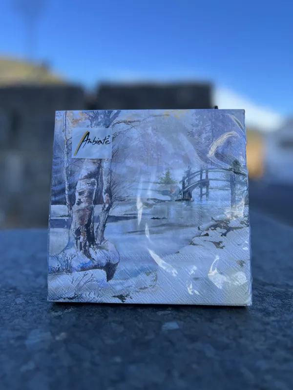 VINTER LANDSKAP SERVIETTER