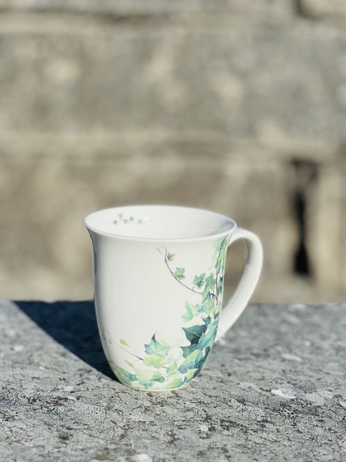 Hovedbilde HEDERA KOPP